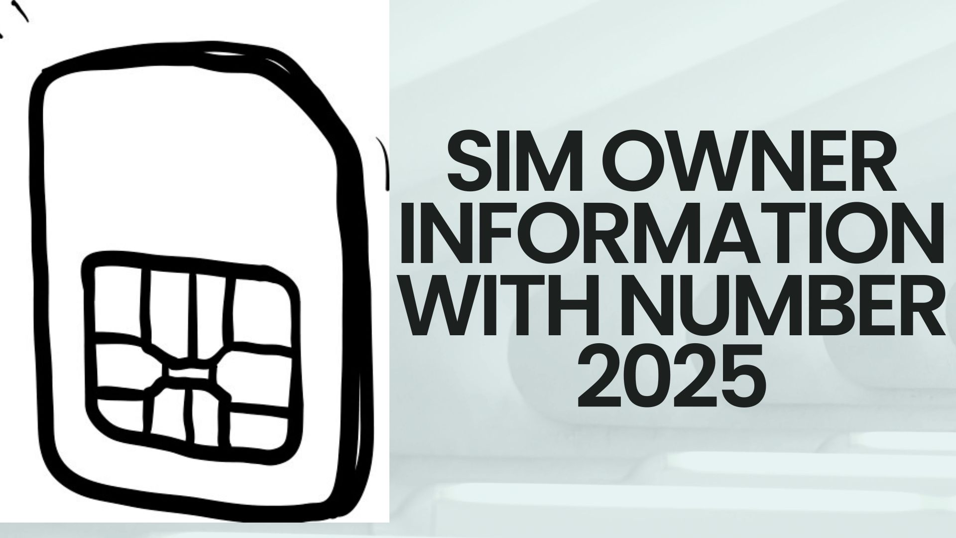 SIM owner information with number