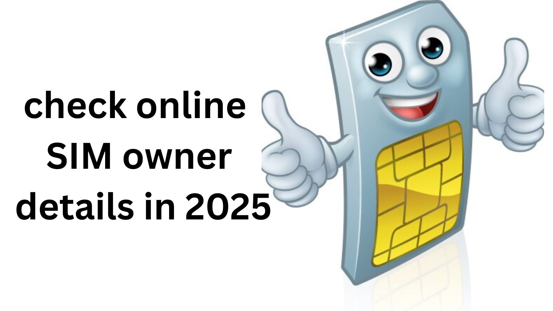check online SIM owner details
