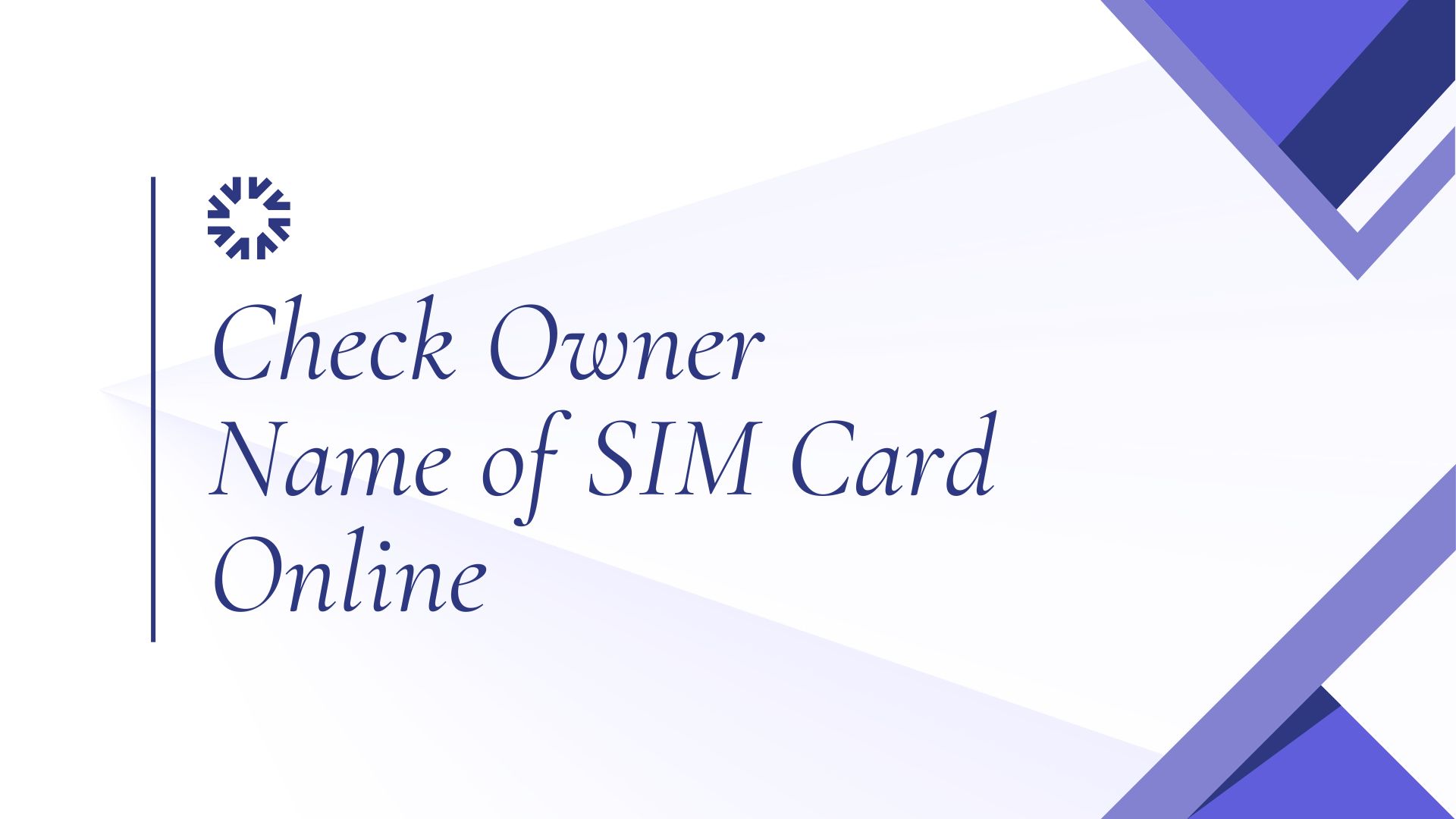 Check Owner Name of SIM Card Online